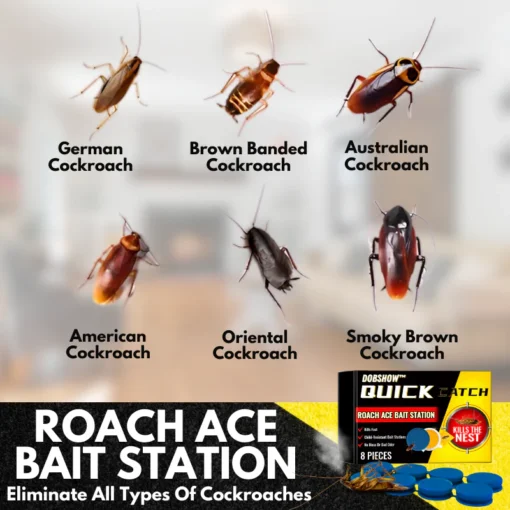 Dobshow QuikCatch Killer RoachAce Bait Station