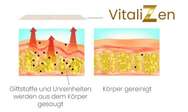 VitaliZen™ Detox Fußpflaster