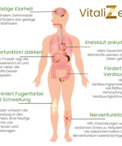 VitaliZen™ Detox Fußpflaster