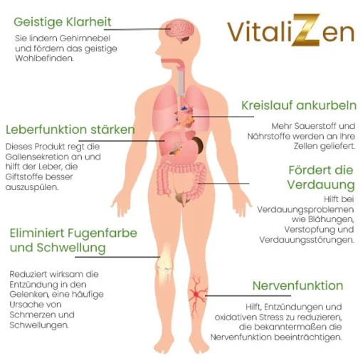 VitaliZen™ Detox Fußpflaster