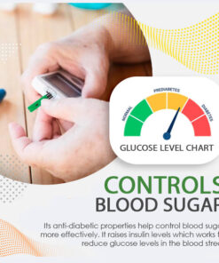 AEXZR™ Blood Sugar Health & Wellness Series