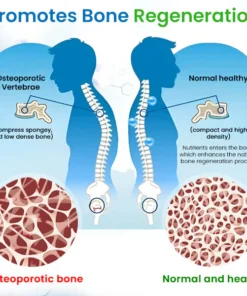 AEXZR™ Bone Regeneration Essence