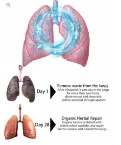 BBOJI™ Organic Herbal Lung Cleanse Repair Nasal Spray