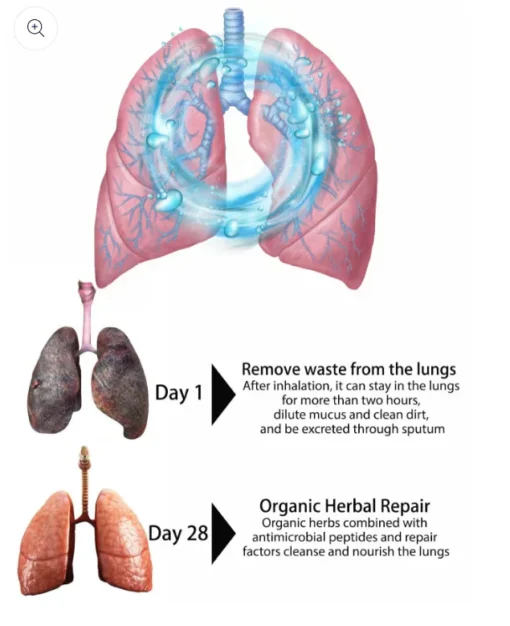 BBOJI™ Organic Herbal Lung Cleanse Repair Nasal Spray