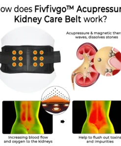 Fivfivgo™ Acupressure Kidney Care Belt