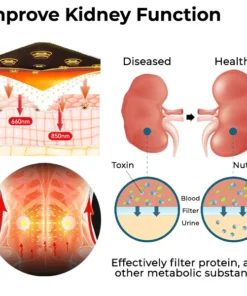 Fivfivgo™ Acupressure Kidney Care Belt