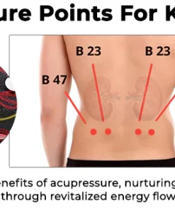 Fivfivgo™ Acupressure Kidney Care Belt