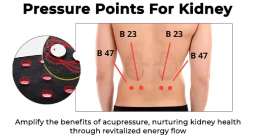 Fivfivgo™ Acupressure Kidney Care Belt