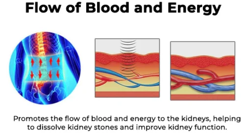 Fivfivgo™ Acupressure Kidney Care Belt