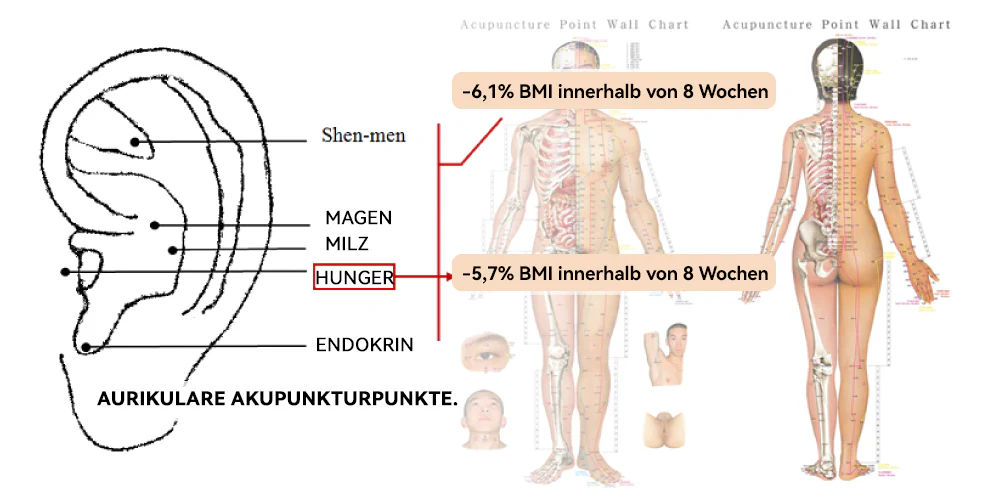 Futusly™ Lymphvity MagneTherapie Germanium-Ohrringe