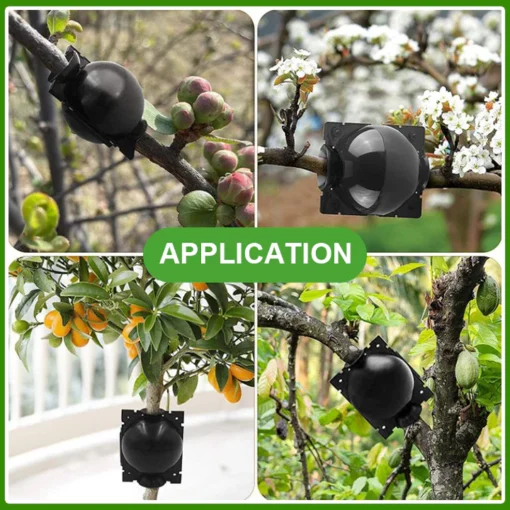 LIMETOW™ Plant Propagation Ball - Image 5