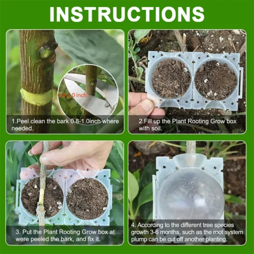 LIMETOW™ Plant Propagation Ball - Image 4