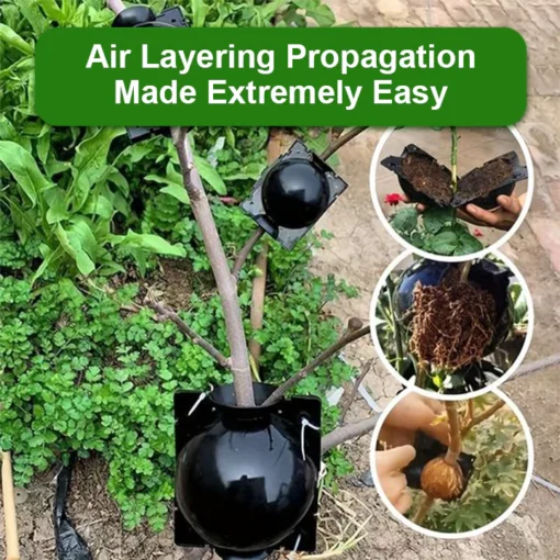 LIMETOW™ Plant Propagation Ball