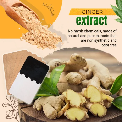 Seurico™ Lymphatic Healing Ginger Patch