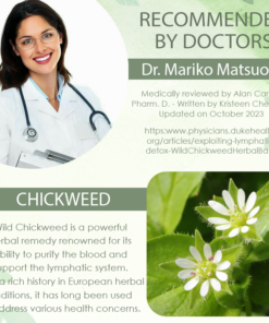 ATTDX™ Wild Chickweed Herbal Balm