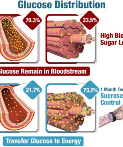 Ultrasound Wristband for Diabetes & Obesity