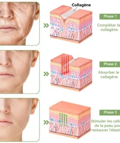 STDEI™ Crème Raffermissante au Collagène de Luxe