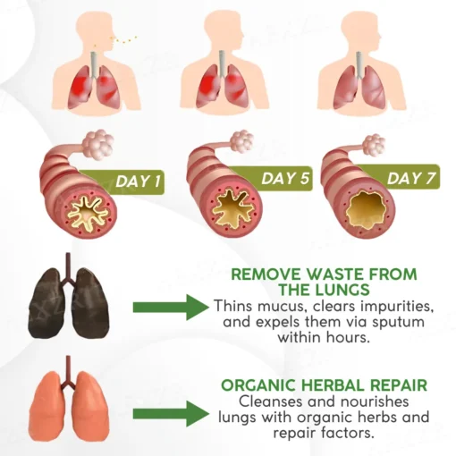 AEXZR™ Herbal Lung Cleanse Spray - Image 5