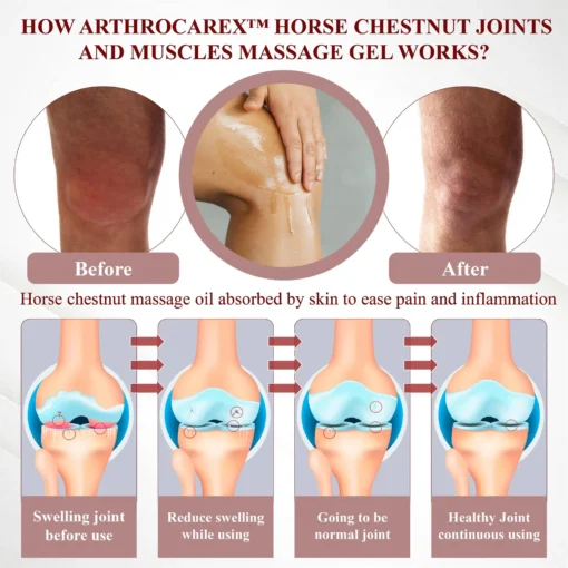 ArthroCareX™ Horse Chestnut Joints and Muscles Massage Gel - Image 6