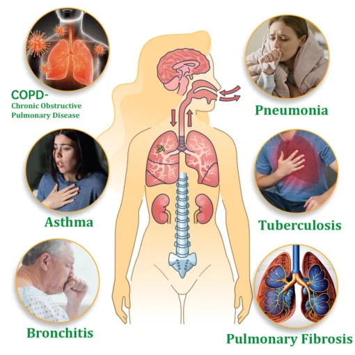 Raindew™ Herbal Lung Cleansing Inhaler - Image 3