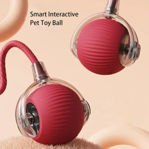 RolliePet smart chase pet toy ball - Image 4