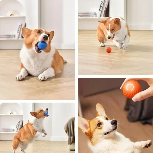 Smart jumping ball-Dog toys teeth grinding, chewing resistance, boredom relief - Image 6