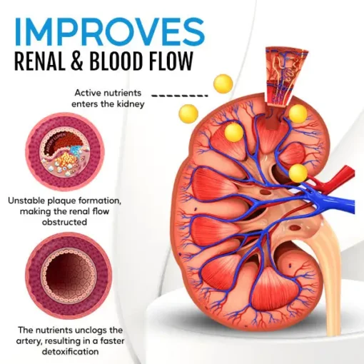 Winter Sale Healthlux™ Kidney Boost & Care Inhaler - Image 4